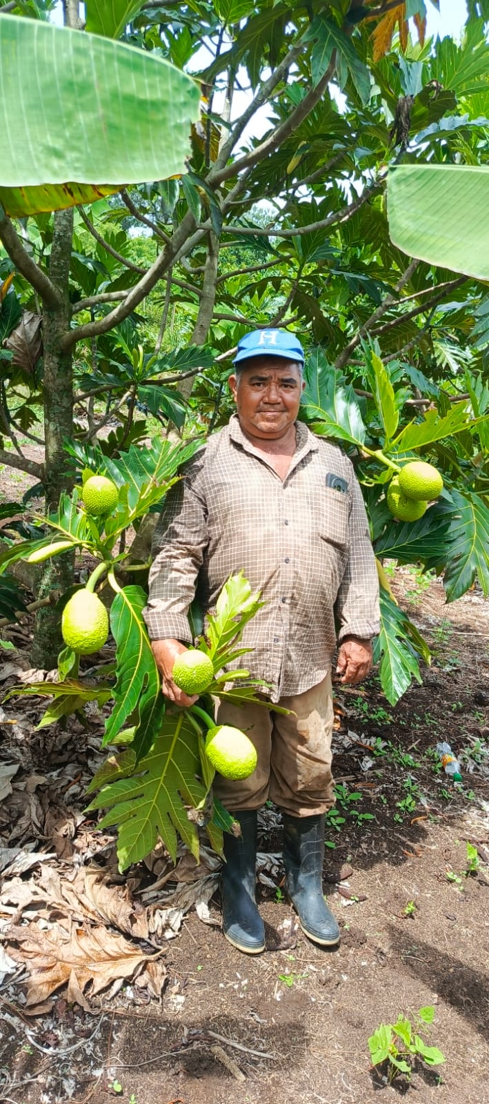 Farmer with Fruit (2)