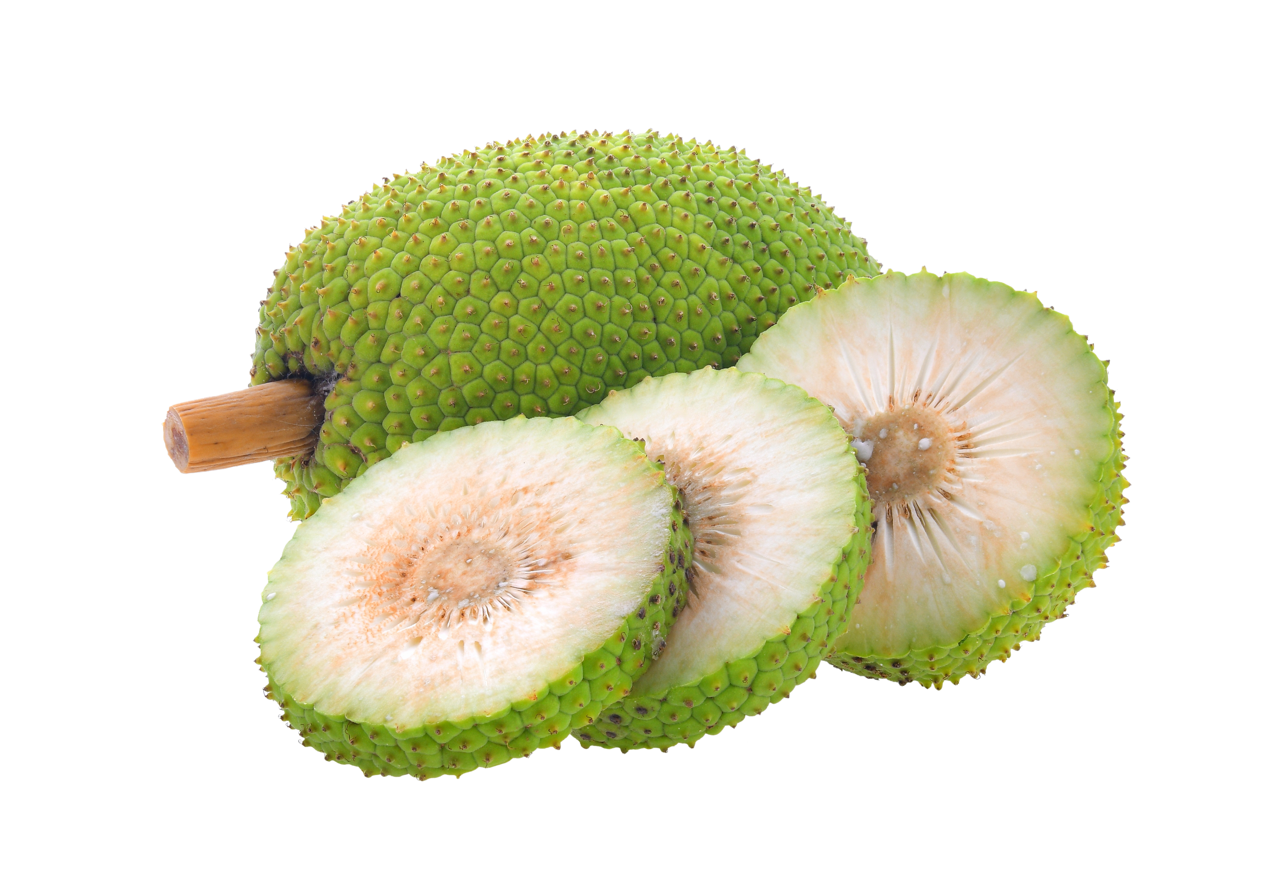 Ripe breadfruit on the tree